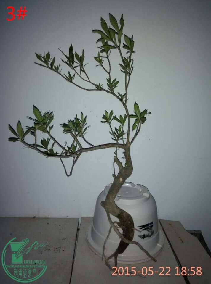 QQͼƬ20150522193136_ͼ.jpg