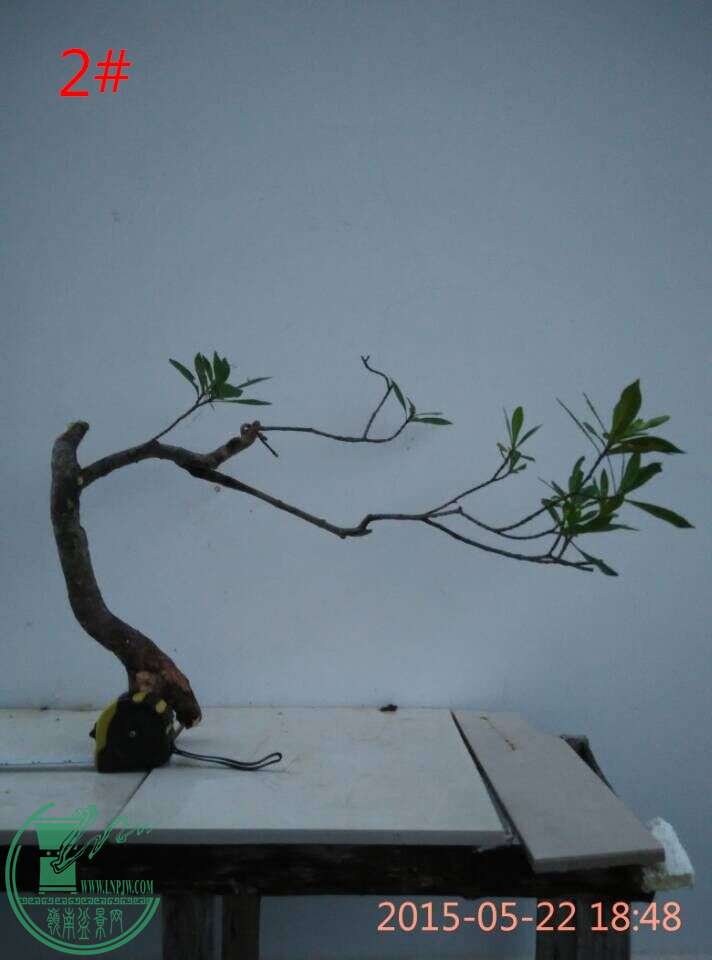 QQͼƬ20150522193141_ͼ.jpg