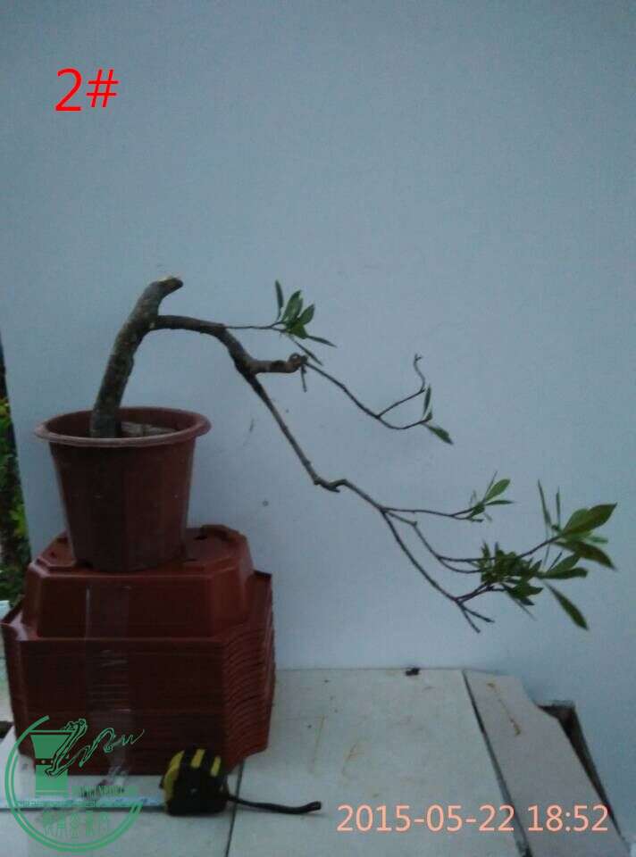QQͼƬ20150522193147_ͼ.jpg