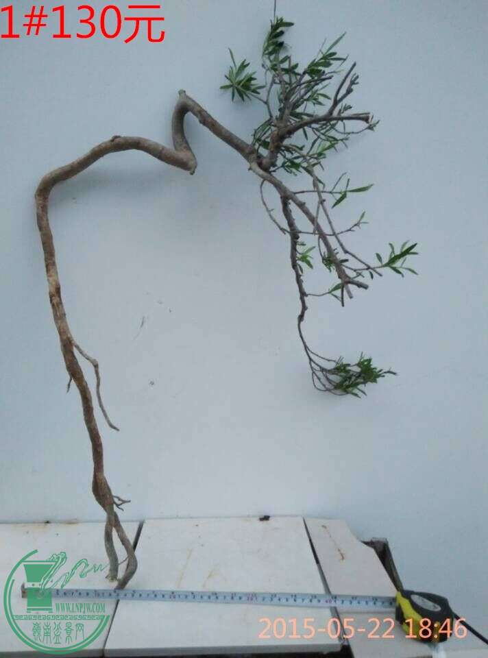 QQͼƬ20150522193152_ͼ.jpg