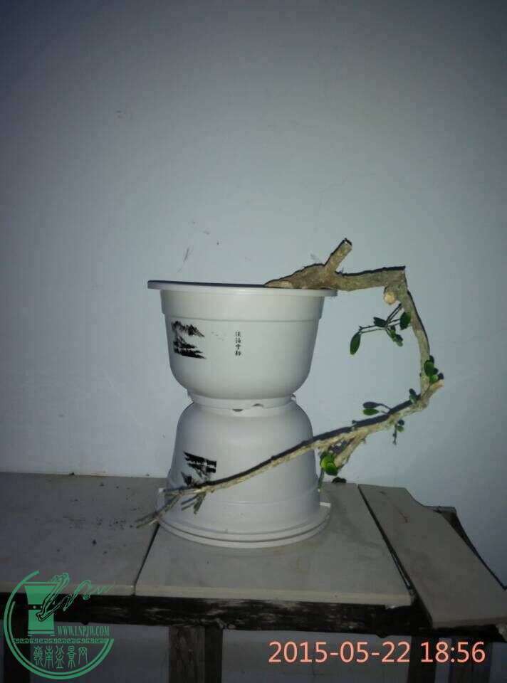 QQͼƬ20150522195055.jpg