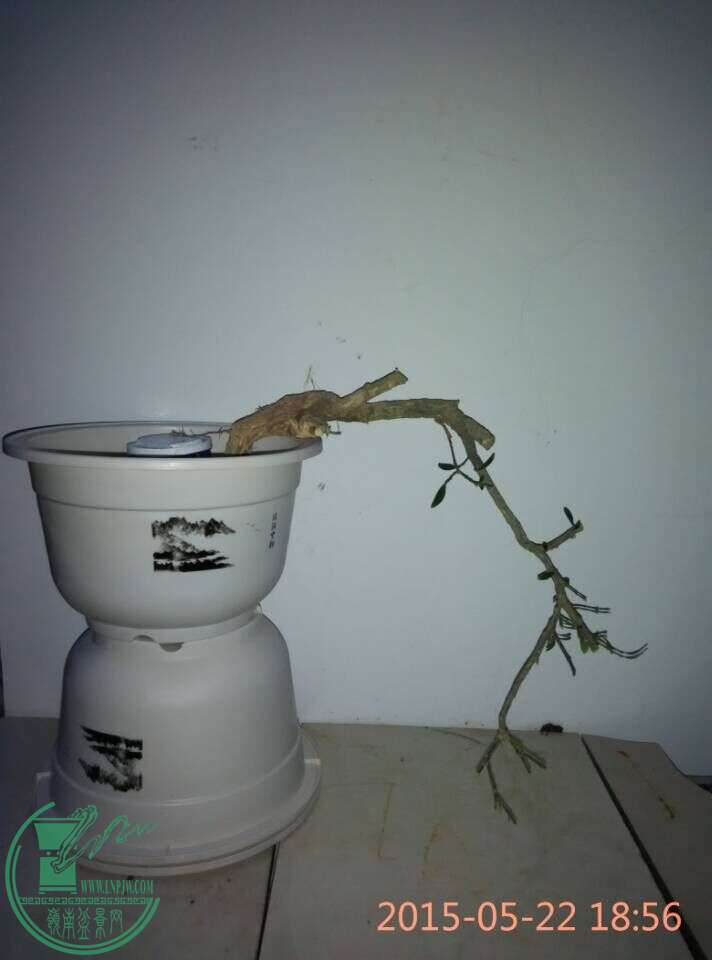 QQͼƬ20150522195127.jpg