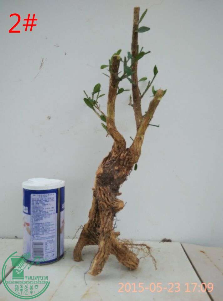 QQͼƬ20150523192820_ͼ.jpg