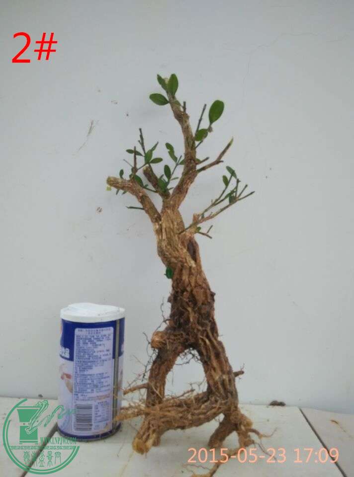 QQͼƬ20150523192813_ͼ.jpg