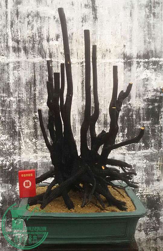7_.jpg