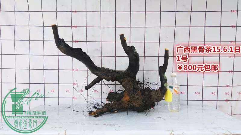 psb (2).jpg