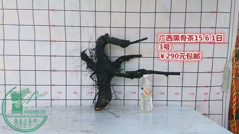 psb (9).jpg