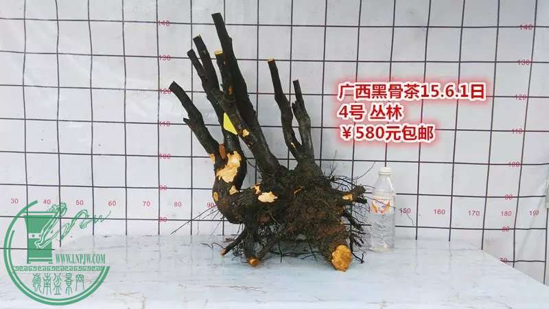 psb (10).jpg