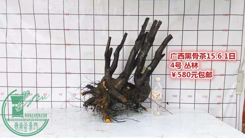 psb (11).jpg