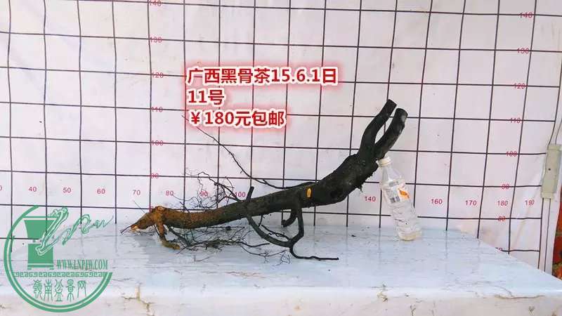 psb (27).jpg