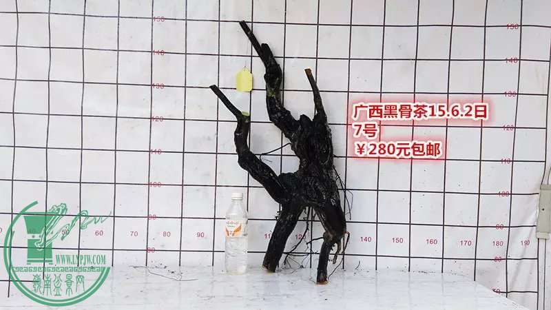 psb (11).jpg