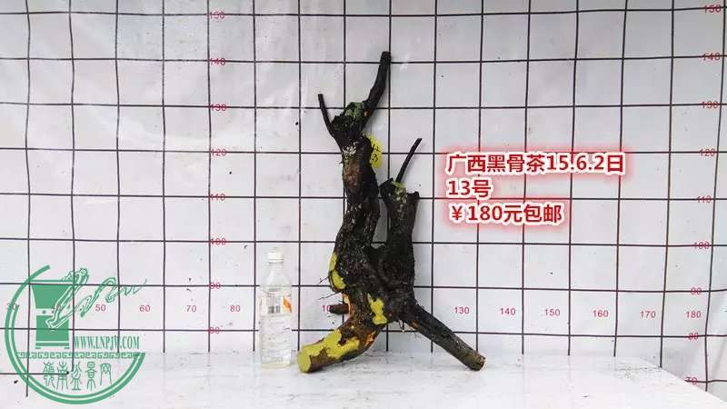 psb (27).jpg