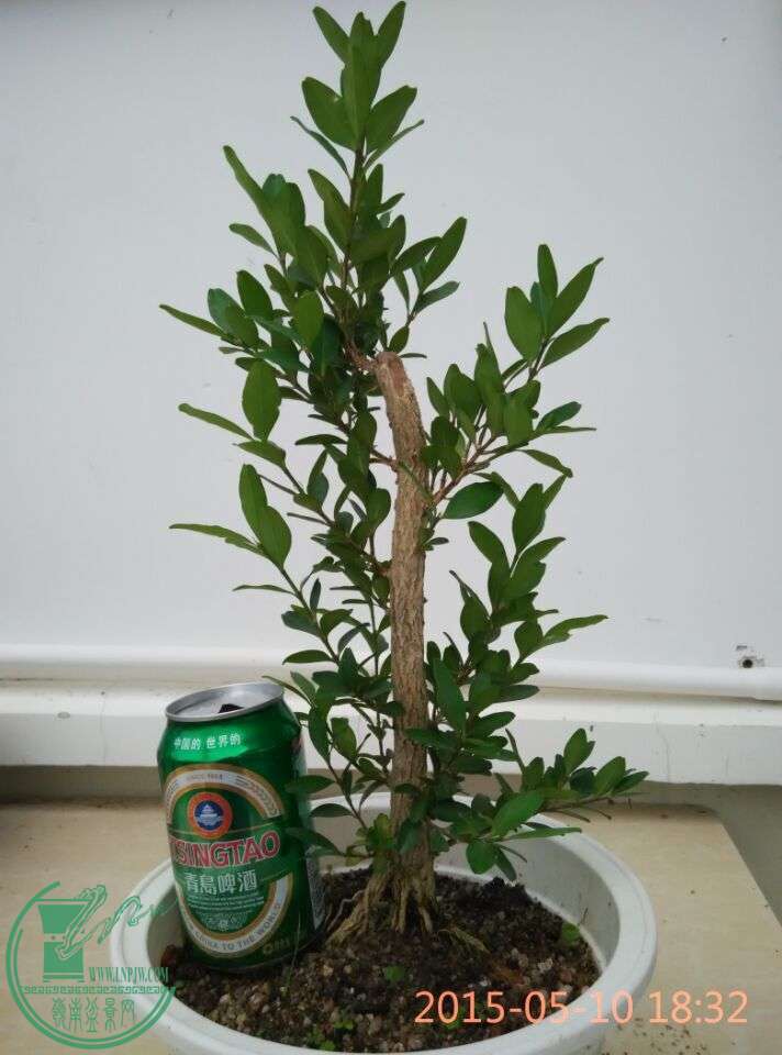 QQͼƬ20150602220233.jpg