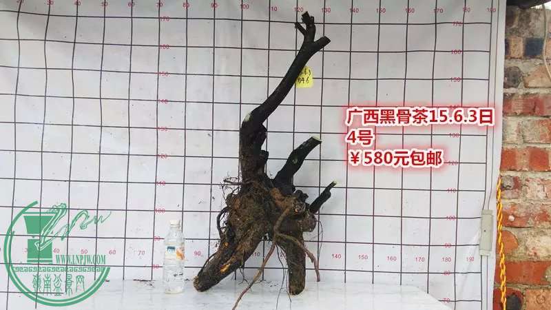 psb (9).jpg
