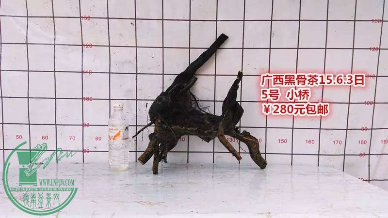 psb (11).jpg
