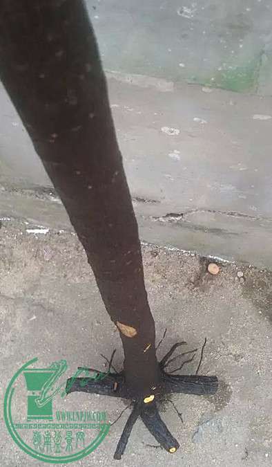 13_.jpg