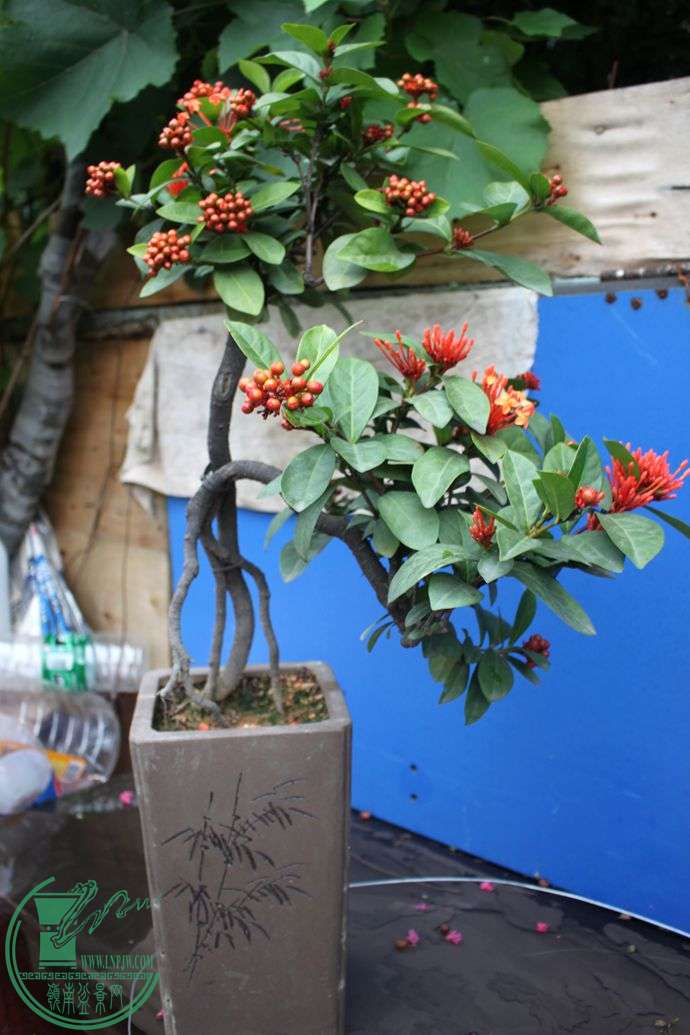 Ƭ 005.jpg