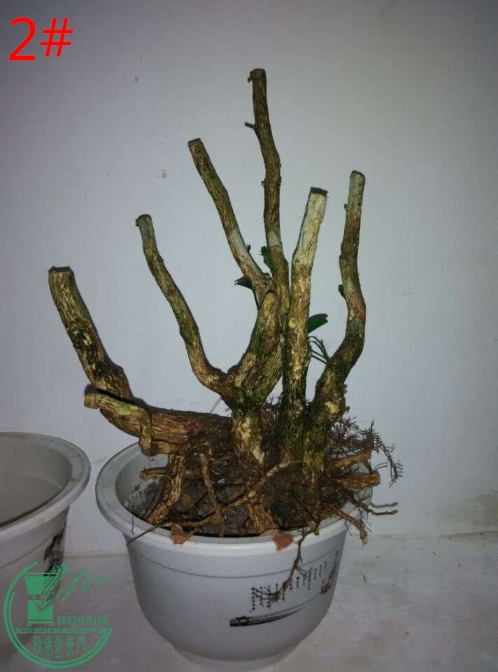 QQͼƬ20150606195046_ͼ.jpg