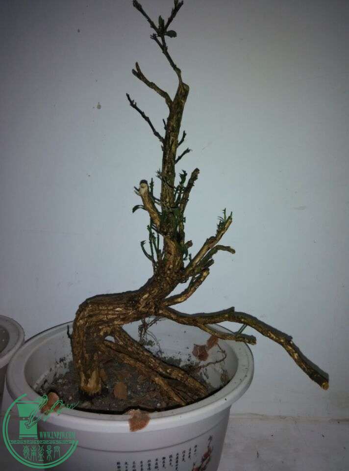 QQͼƬ20150606195103.jpg