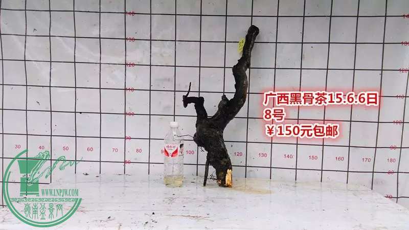 psb (18).jpg