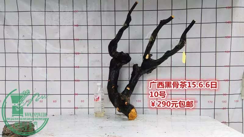 psb (22).jpg