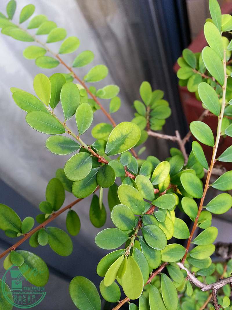20150607_092012_.jpg