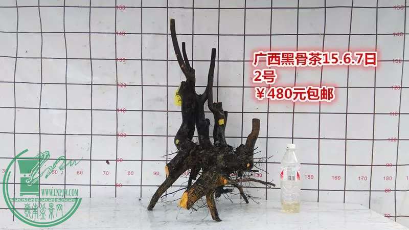 psb (2).jpg