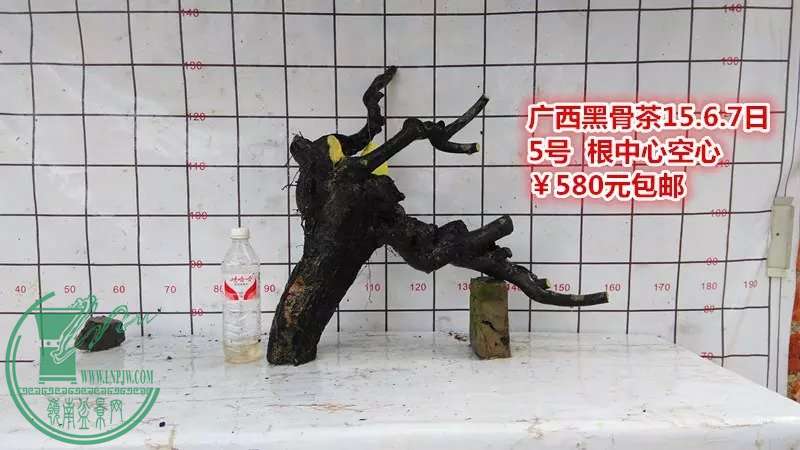 psb (11).jpg