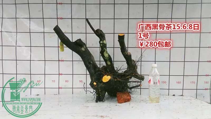 psb (1).jpg