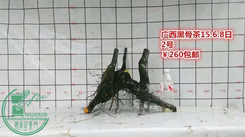 psb (2).jpg