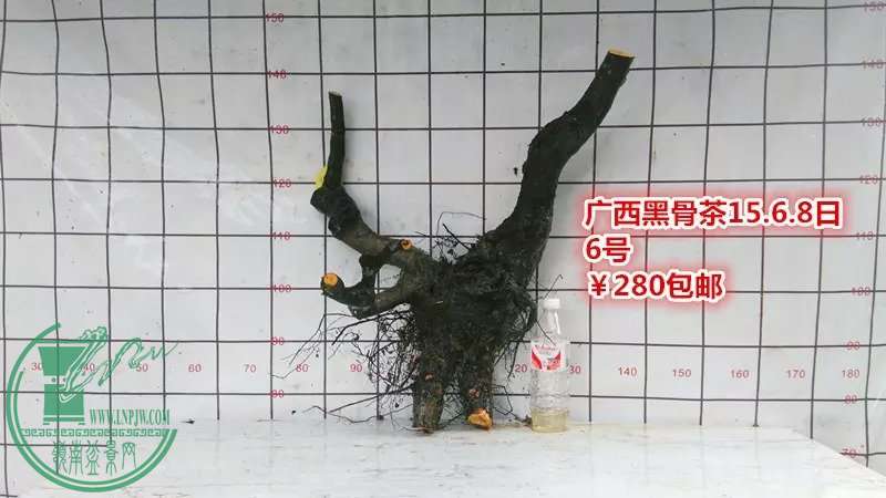 psb (10).jpg