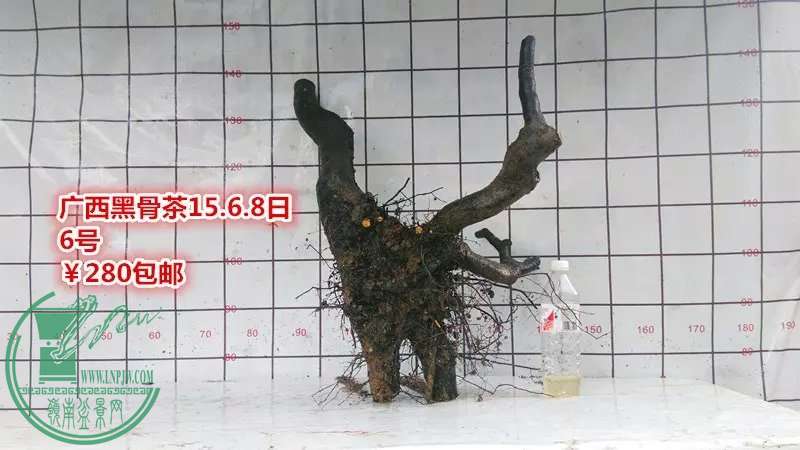 psb (11).jpg