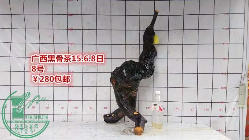psb (14).jpg