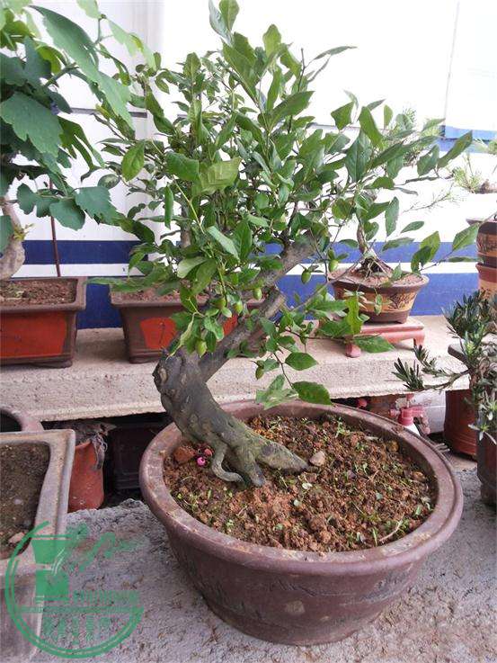 20150526_165457.jpg