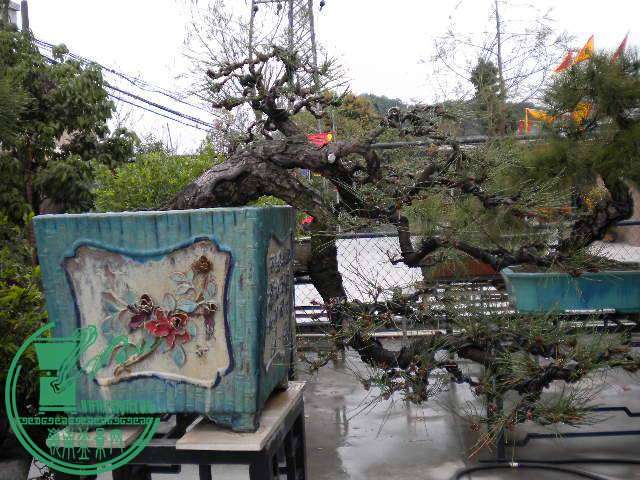 40b.jpg