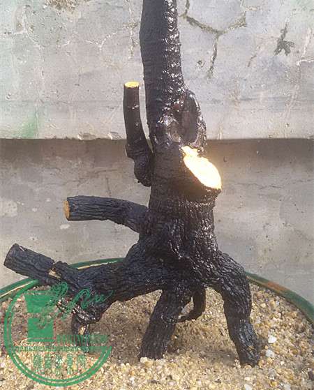 2_.jpg