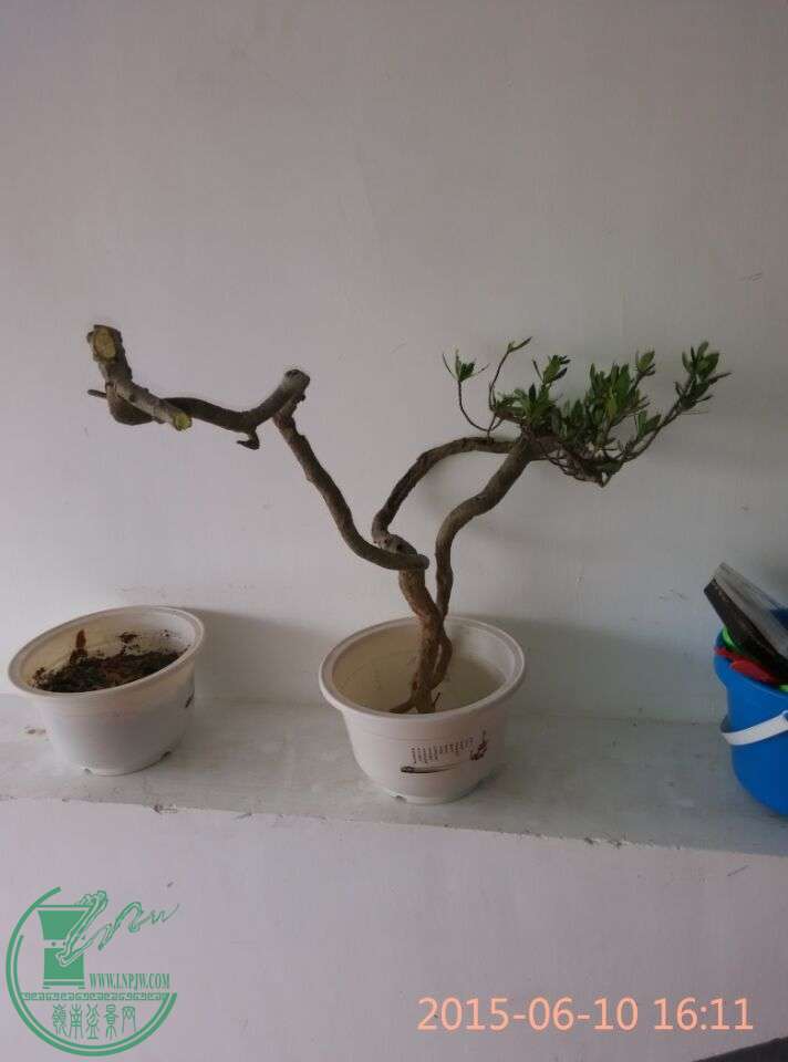 QQͼƬ20150610231552.jpg