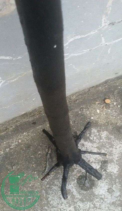 29_.jpg