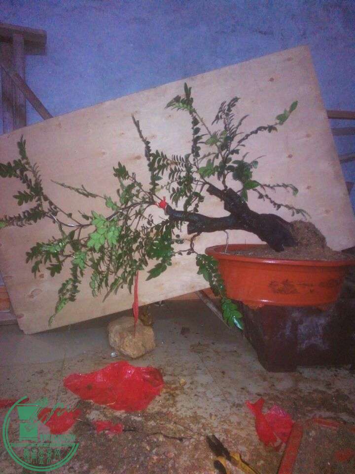 QQͼƬ20150517212645.jpg