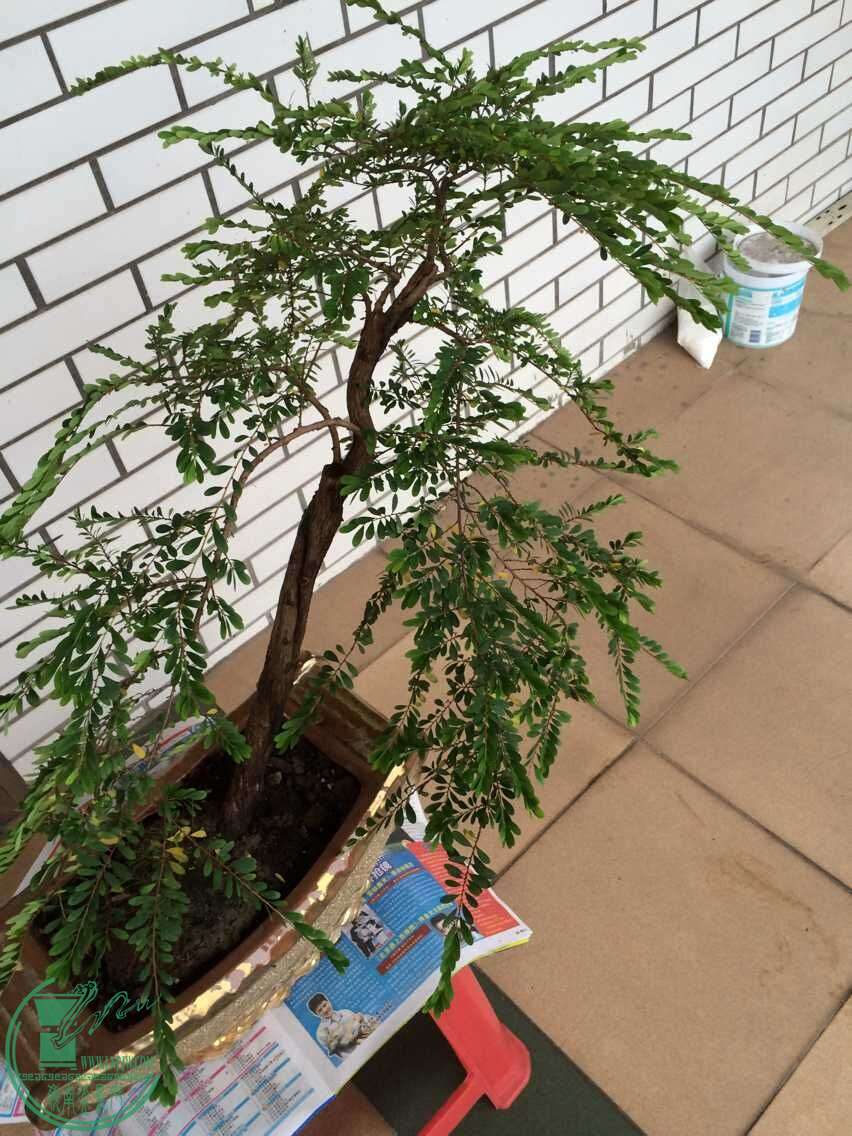 QQͼƬ20150612202548.jpg