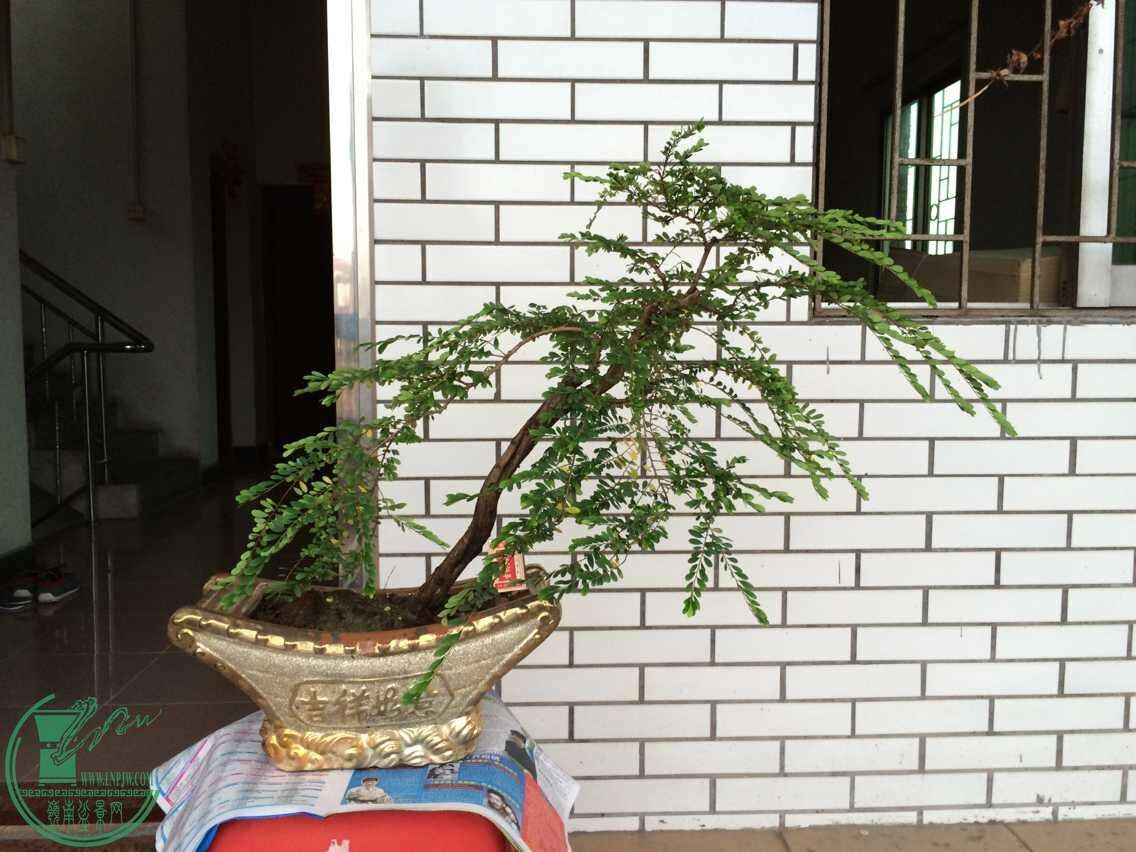 QQͼƬ20150612202600.jpg