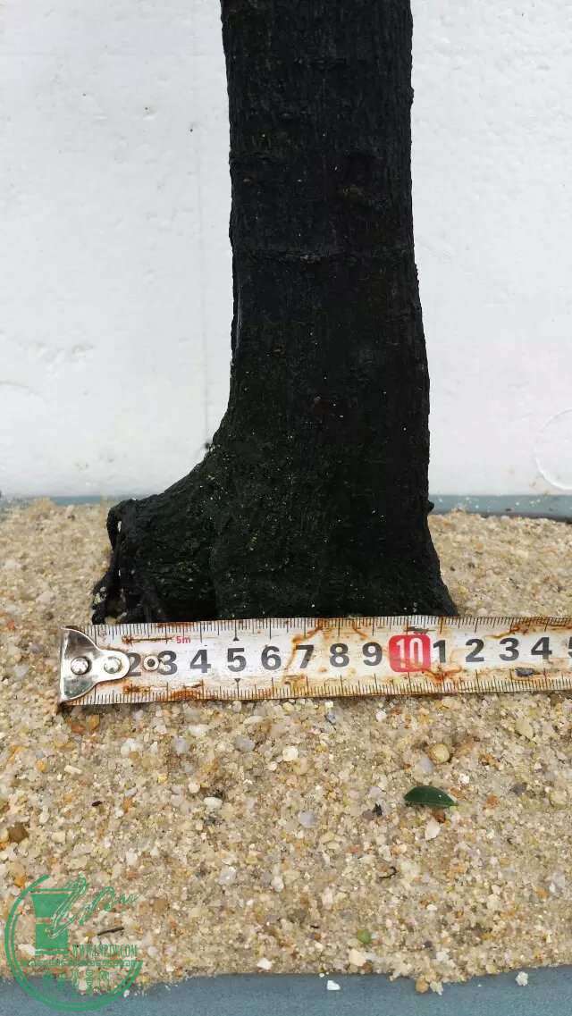 12225.jpg