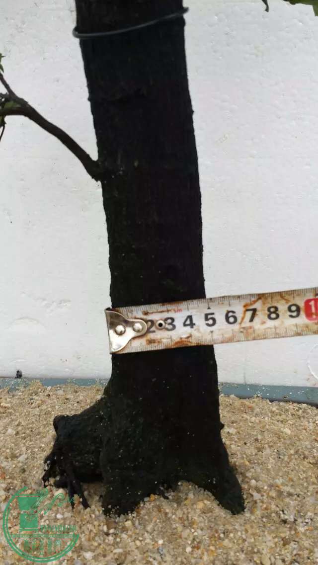 12224.jpg