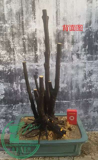 6_.jpg