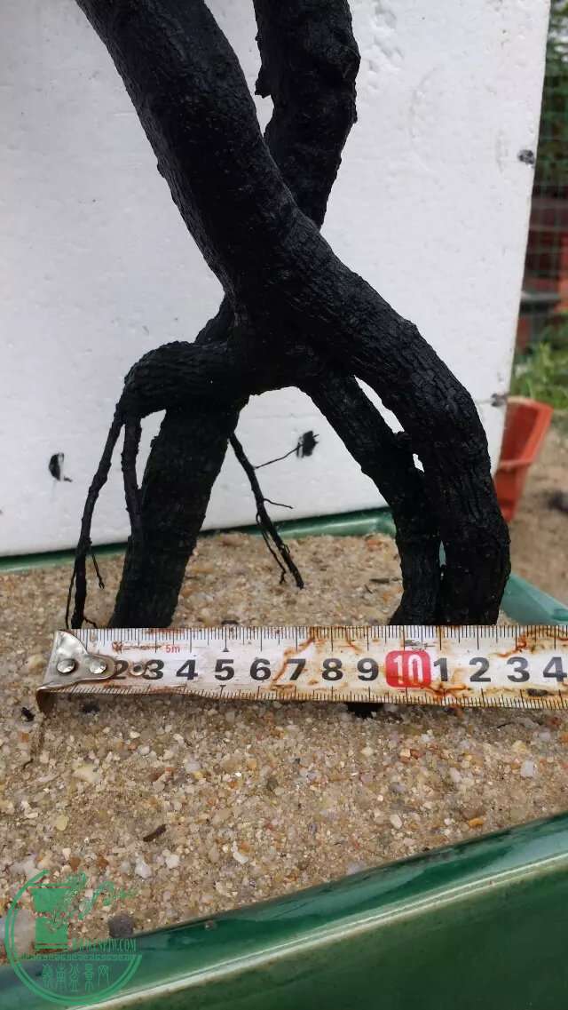 122225.jpg