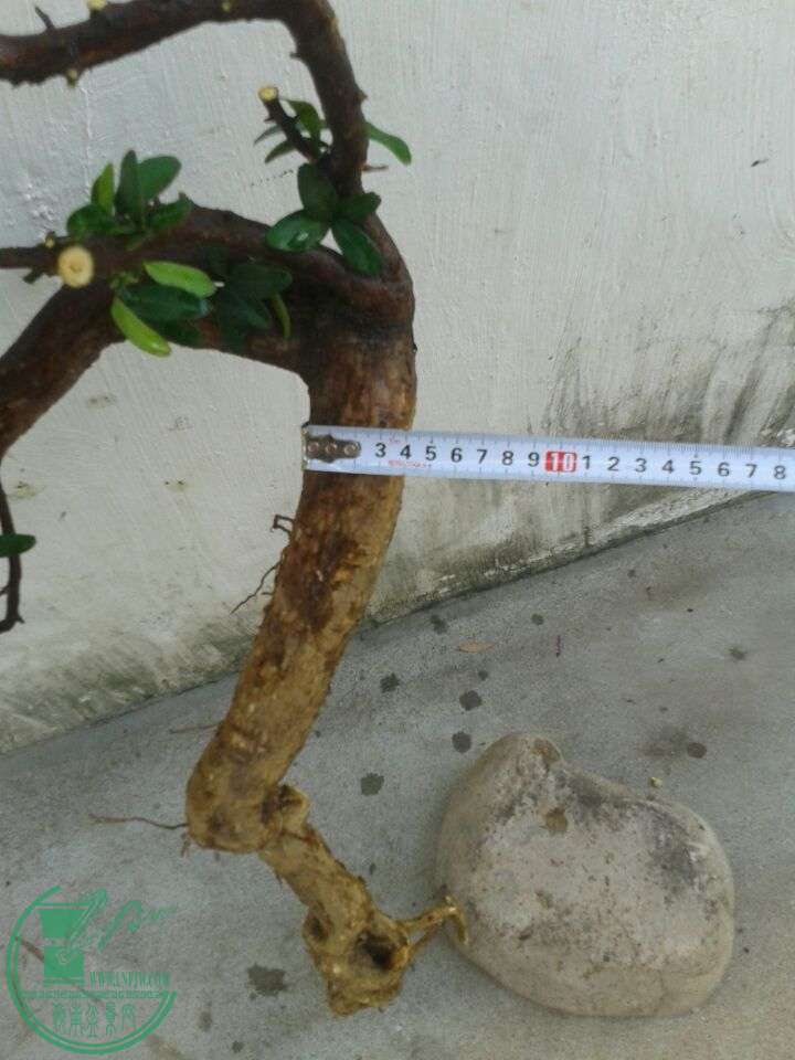 QQͼƬ20150614195312.jpg