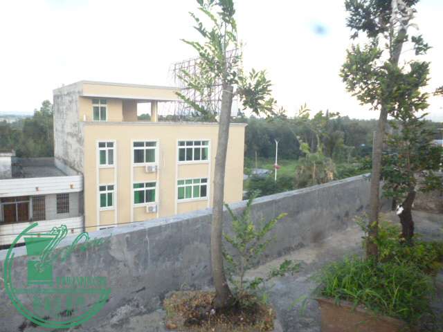 P1140086.JPG