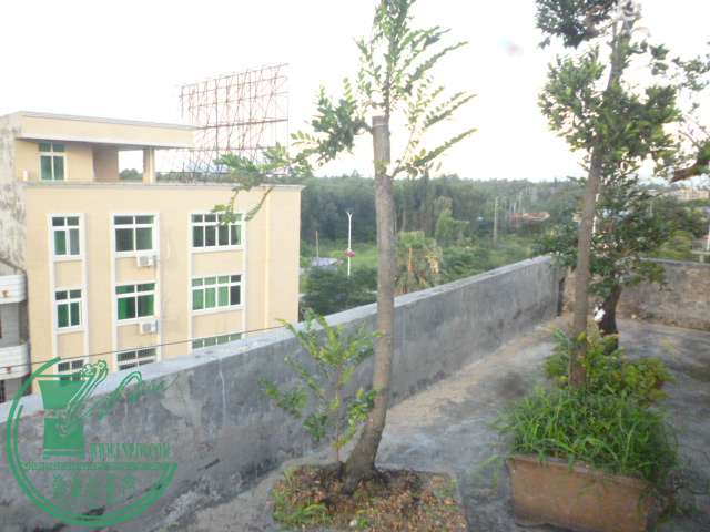 P1140090.JPG