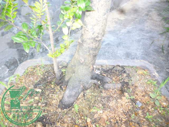 P1140093.JPG