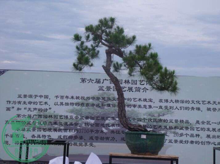 QQͼƬ20150615195111.jpg